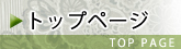 いけばな・華道 創美流